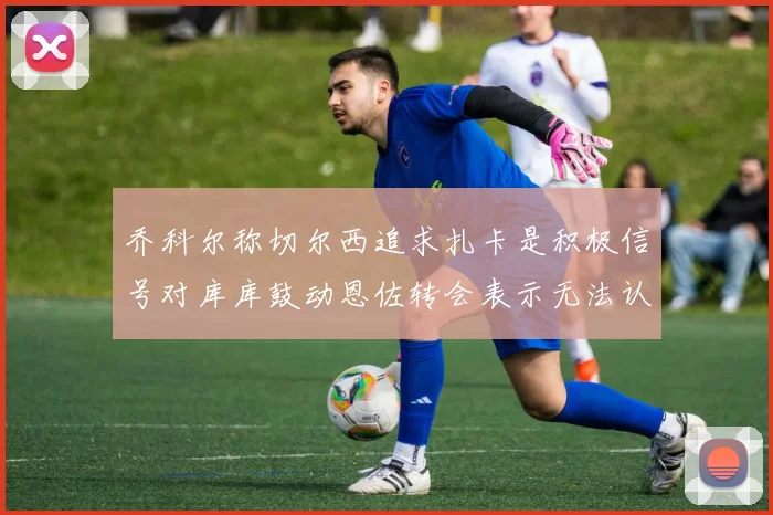 乔科尔称切尔西追求扎卡是积极信号对库库鼓动恩佐转会表示无法认同